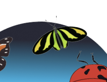 This is a small yellow and green butterfly, one of my images to add to the eye motion graphics.